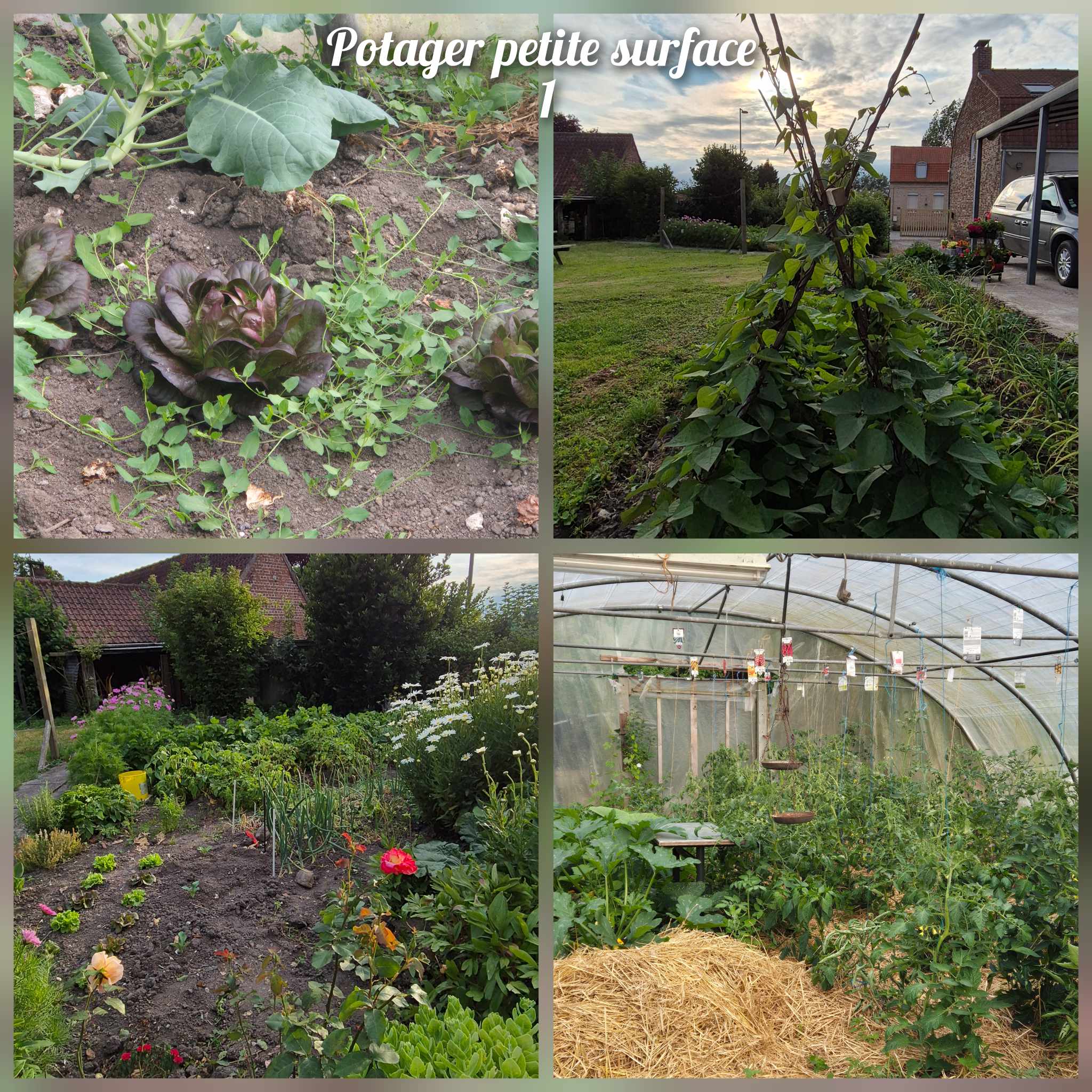 Potager ps 1