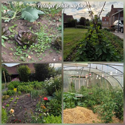 Potager ps 1