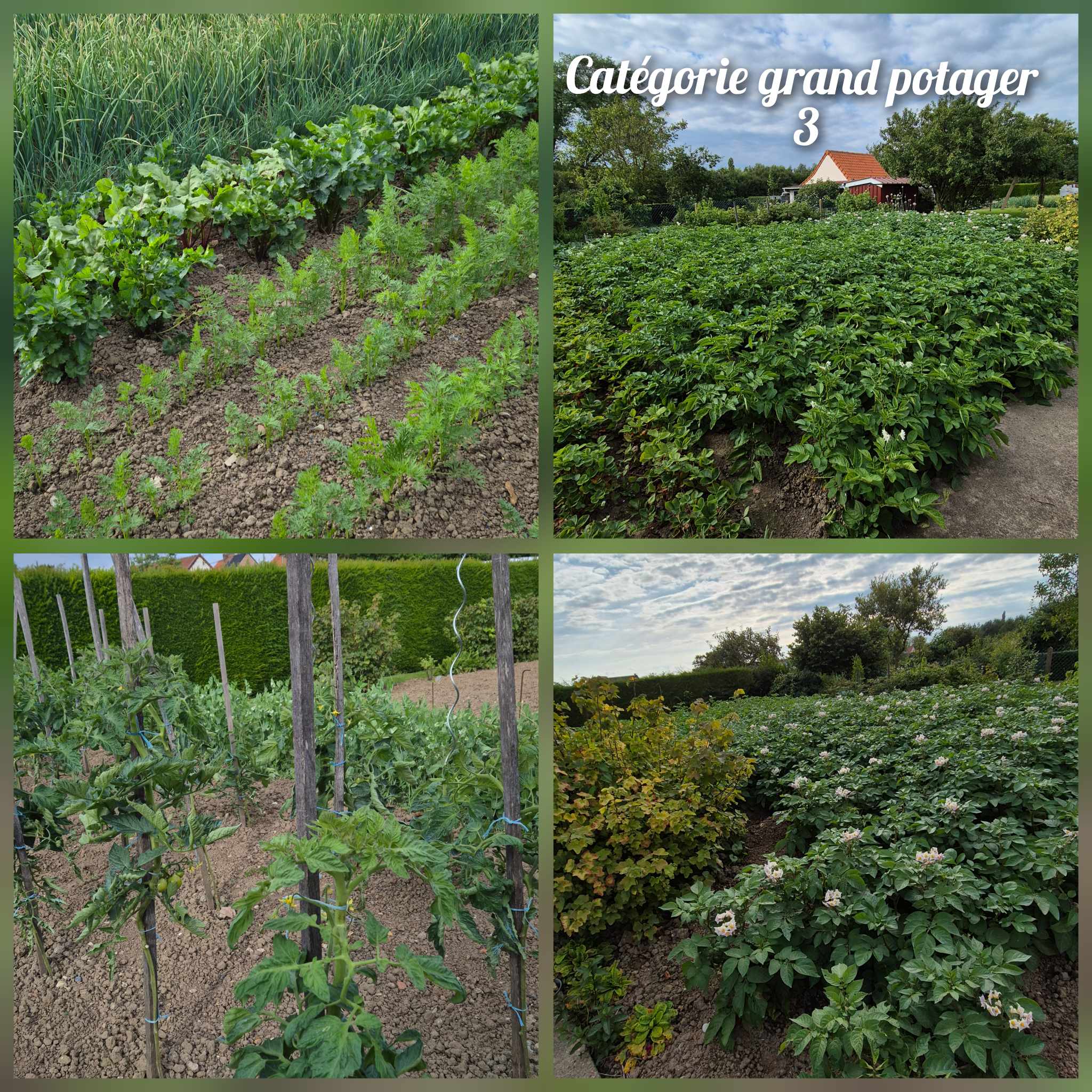 Potager gs 3