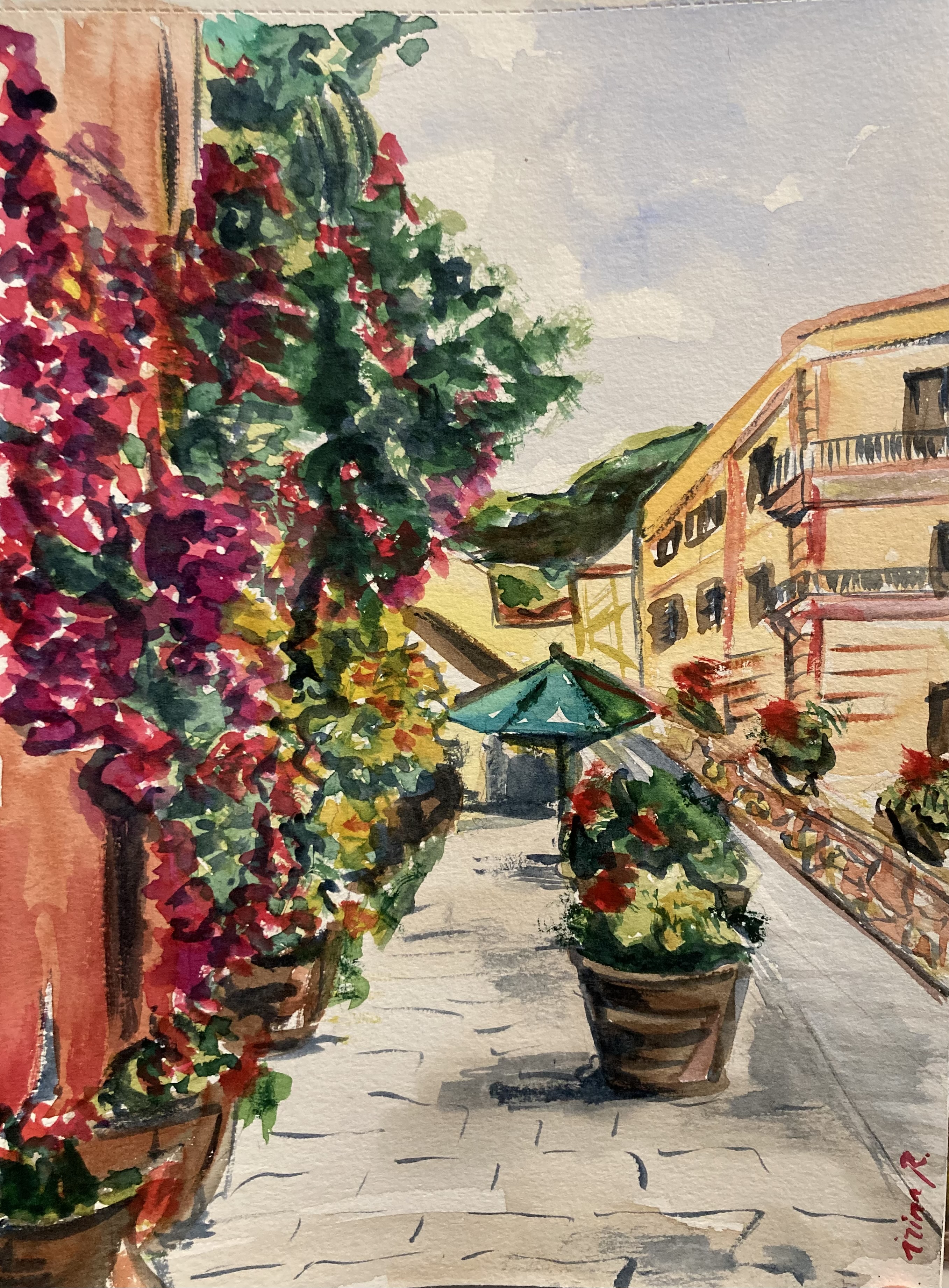 Italie 5terres bougainvilliers aquarelle irinart