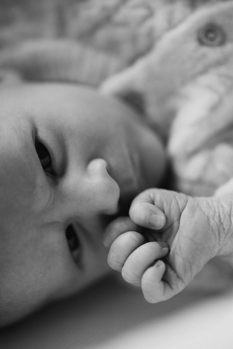 Benjamin lagourgue photographe naissance albane 102