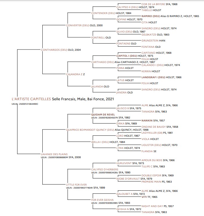 Pedigree 5 generations