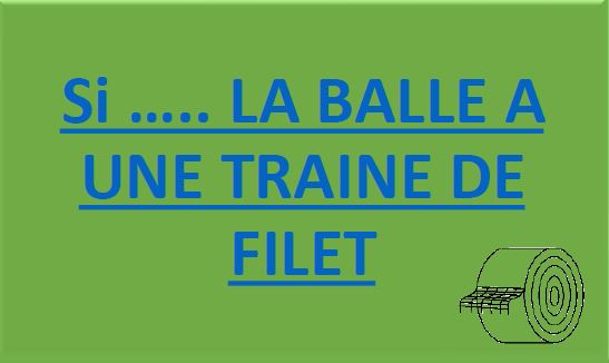Si-la-balle-a-une-triane-de-filet