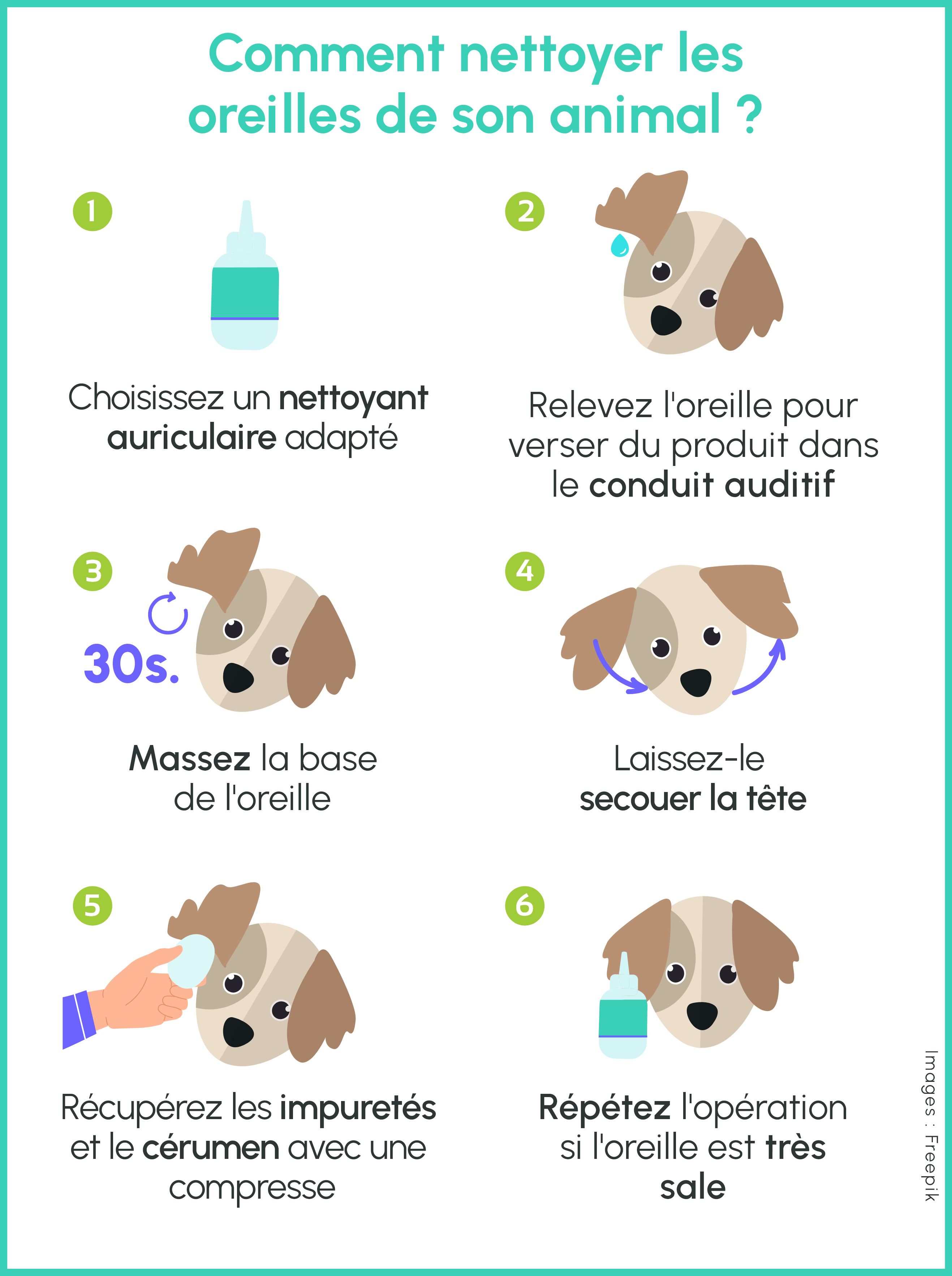 Comment-nettoyer-les-oreilles-de-son-animal