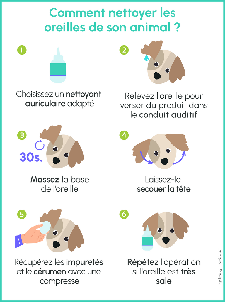 Comment-nettoyer-les-oreilles-de-son-animal