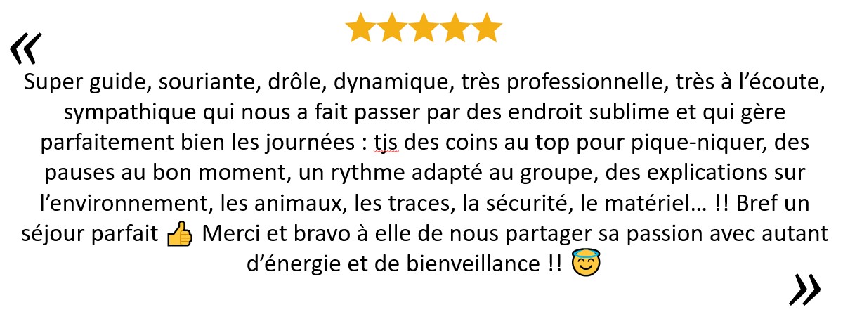 Avis 6
