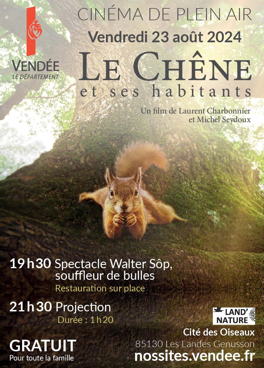 Le-chene-2