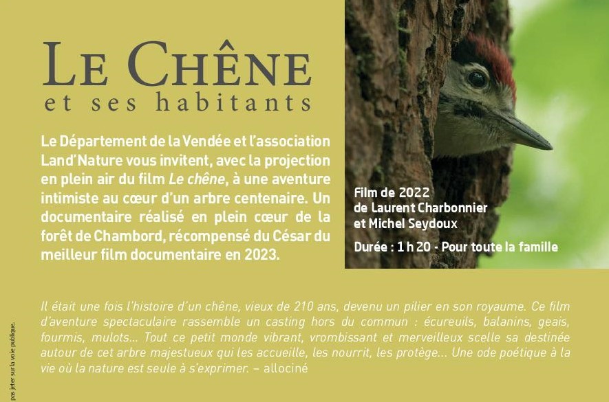 Le-chene-1
