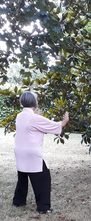IMG-20240716-WA0012-2