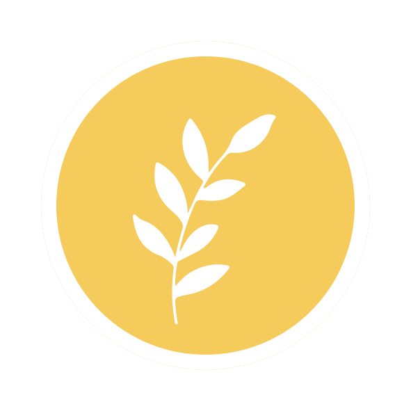 Df logo-philo