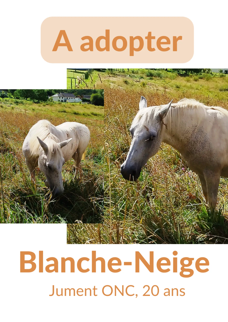 Blanche-Neige