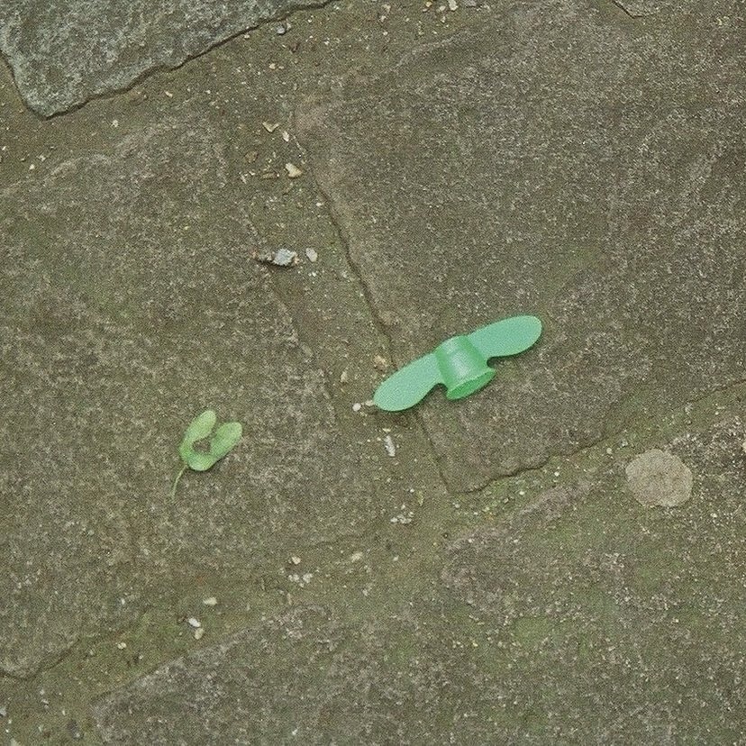 Img 0234