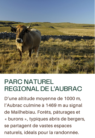 Aubrac