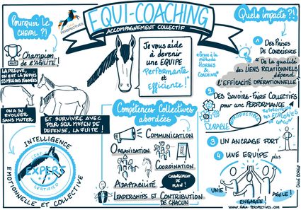 Sketchnote accompagnement collectif equicoaching