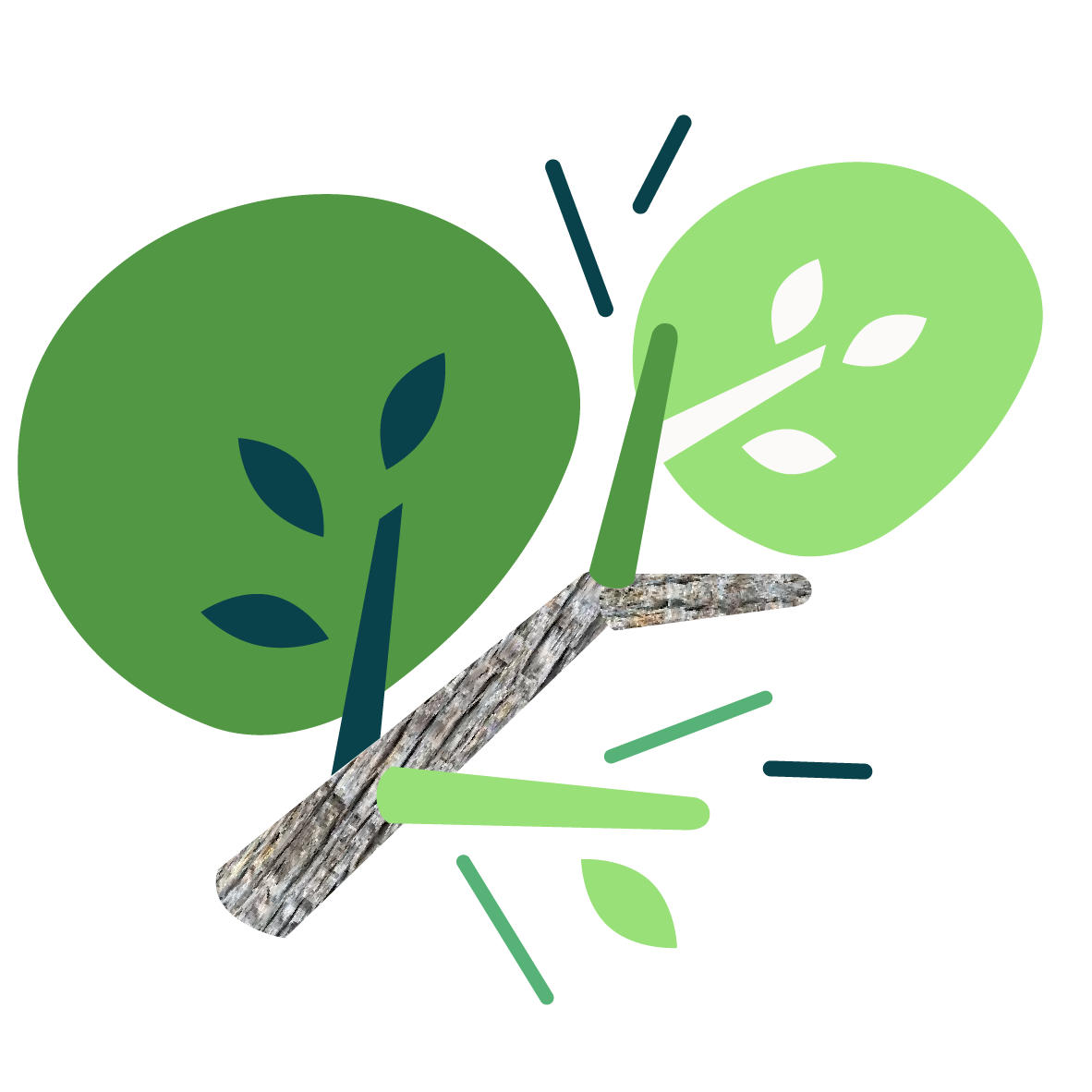 ARBRE-RM Plan-de-travail-1
