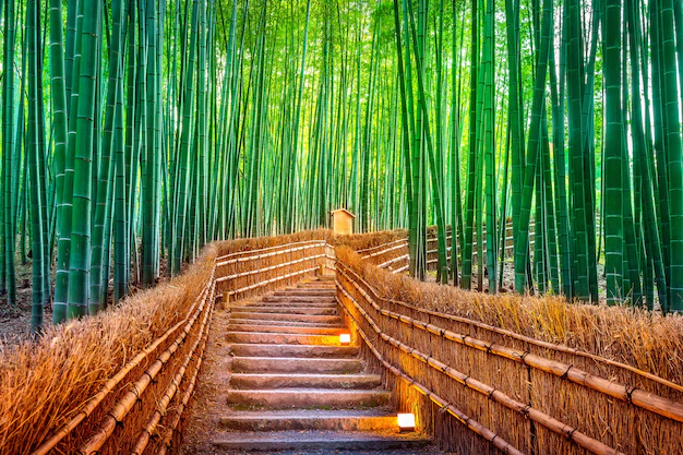 Zen18