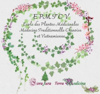 Logo epmtcv sakura