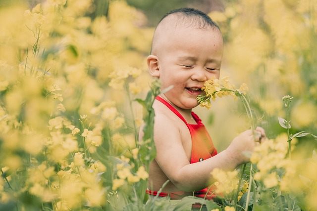 Cette image est une photo d'un garçon de moins de 1 an assis dans un champs de fleurs jaunes. Il a les yeux fermés, une main accrochée à une tige qu'il tire vers lui. La fleur de cette tige lui touche le nez.