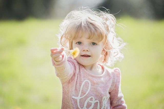 Cette image est une photo d'une enfant d'environ 4 ans, les cheveux blonds, un pull rose, tendant vers la photographe une fleur de pissenlit.