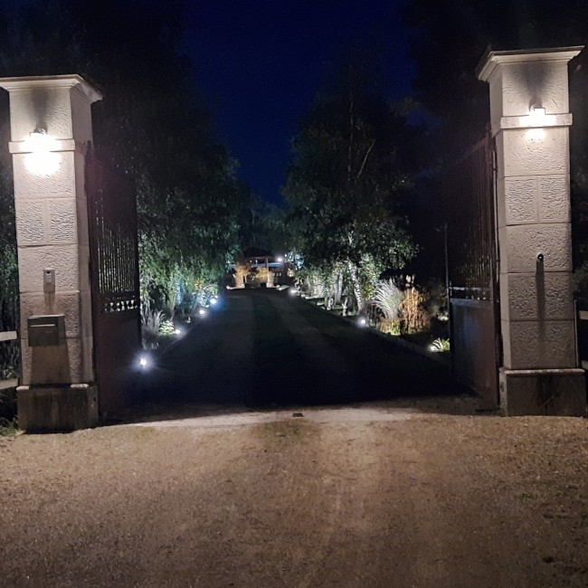 Allee