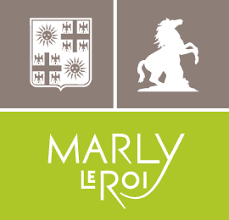 épaviste gratuit marly le roi 78