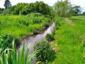 Extension du périmètre de l'ASARM