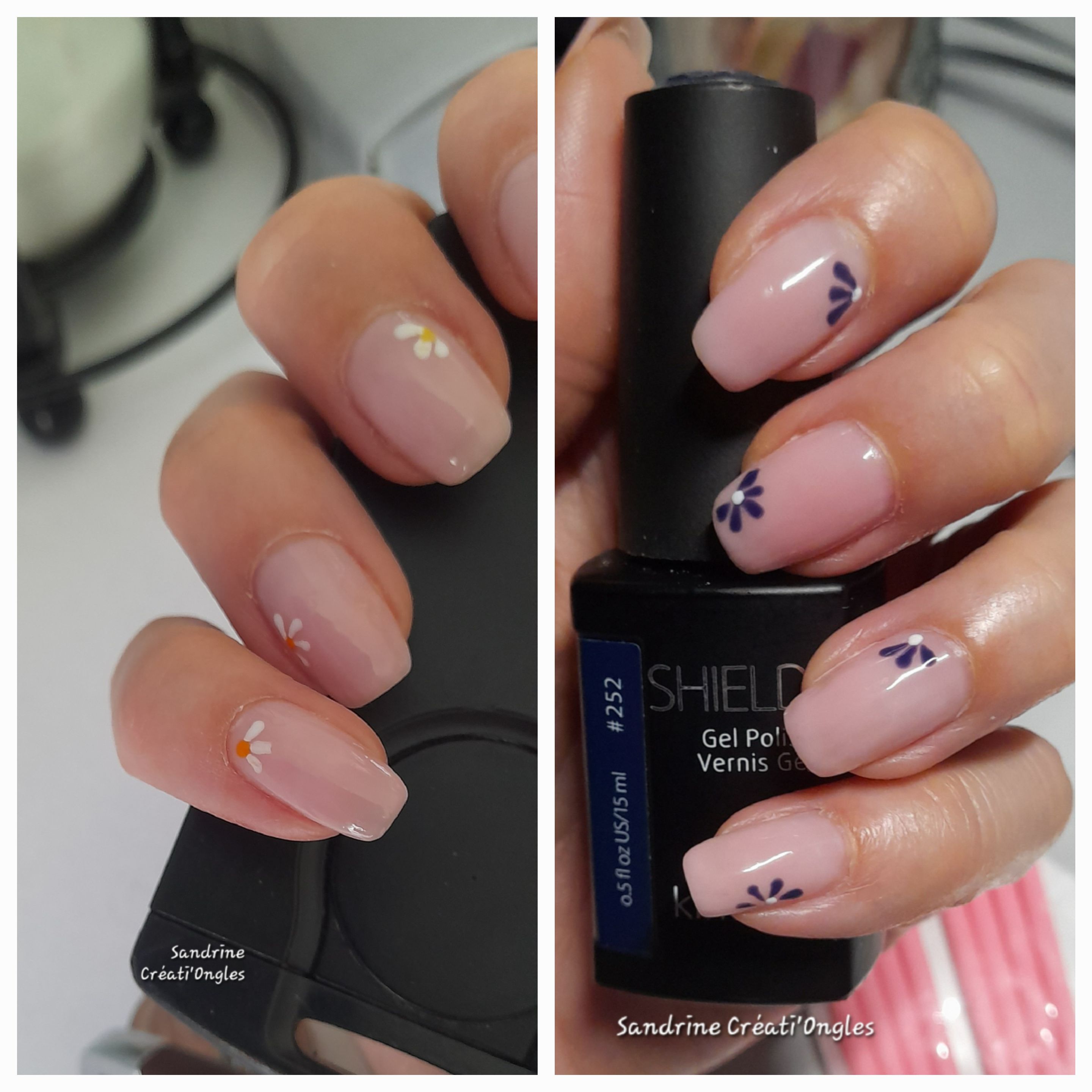 Fleurs minimalistes