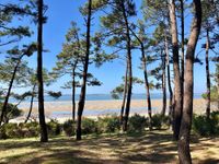 Pereire-panorama-arcachon