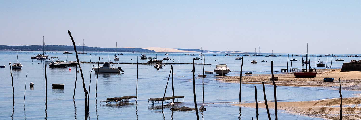Teste de buch promenade