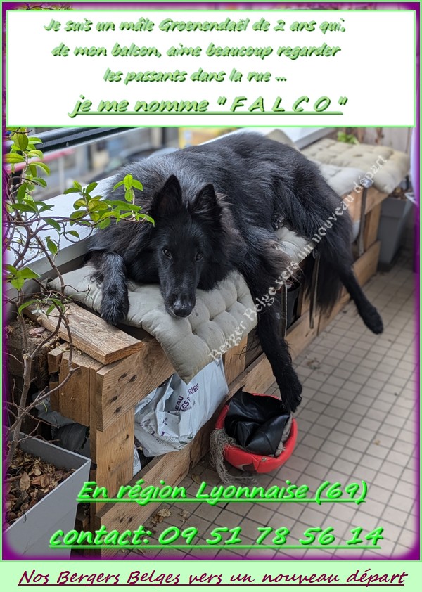 Balcon-Dept