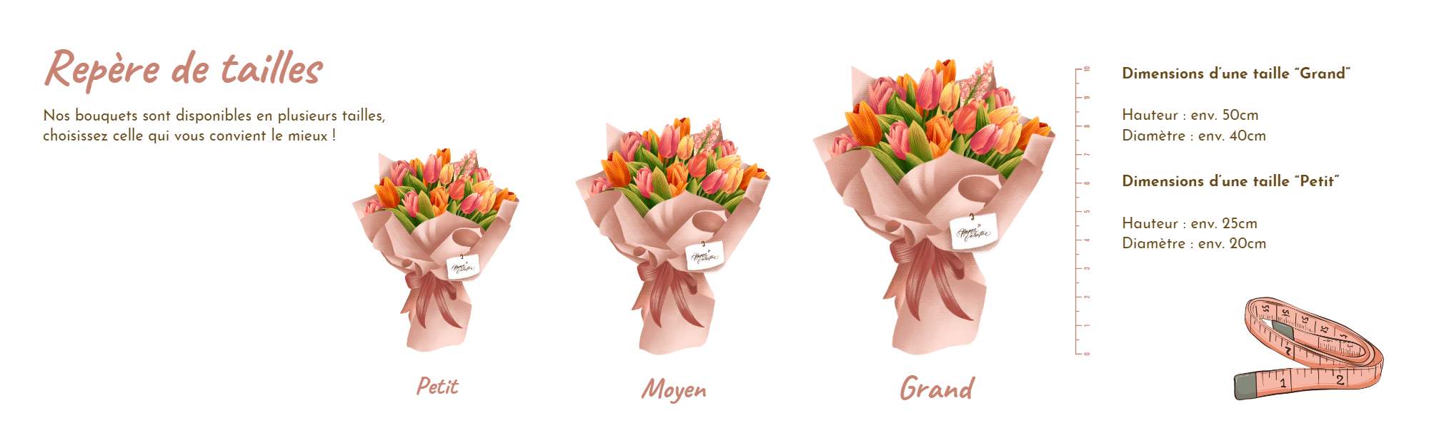 PRO-Latini-Fleuriste-Bande-Repere-tailles