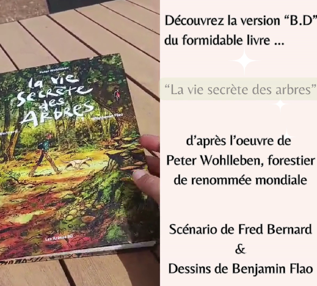 Découvrez "La vie secrète des arbres" en Bande Dessinée.