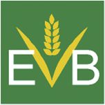 Logo-EVB-1