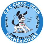 New-logo-cec