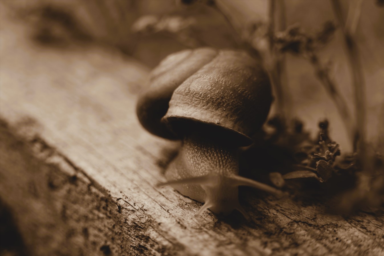 Capture d ecran 2024 07 21 215302