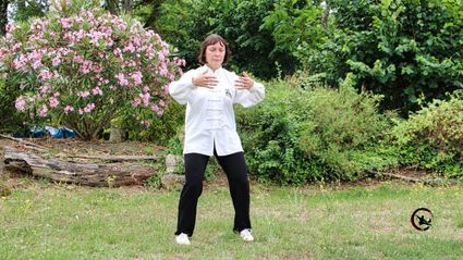 Cours collectifs qi gong tai chi bourgoin maubec artdumieuxetre ame posture de l arbre2