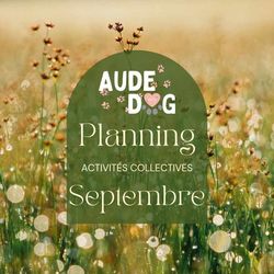 Planning des activités collectives de Septembre