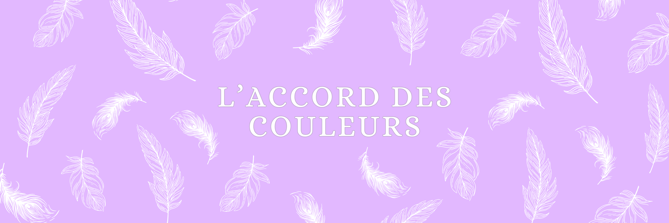 L'accord des couleurs en genre et en nombre.