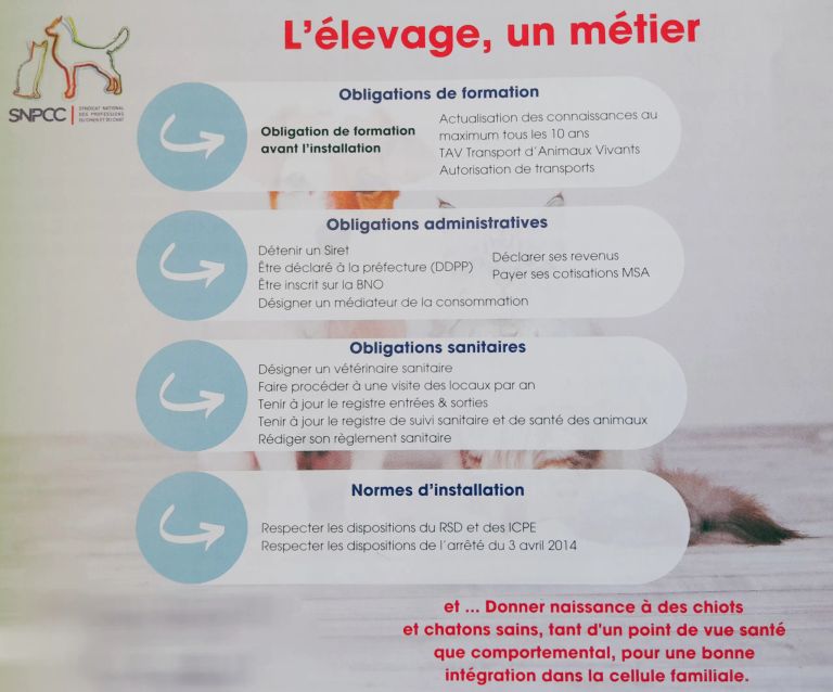 L-elevage-un-metier