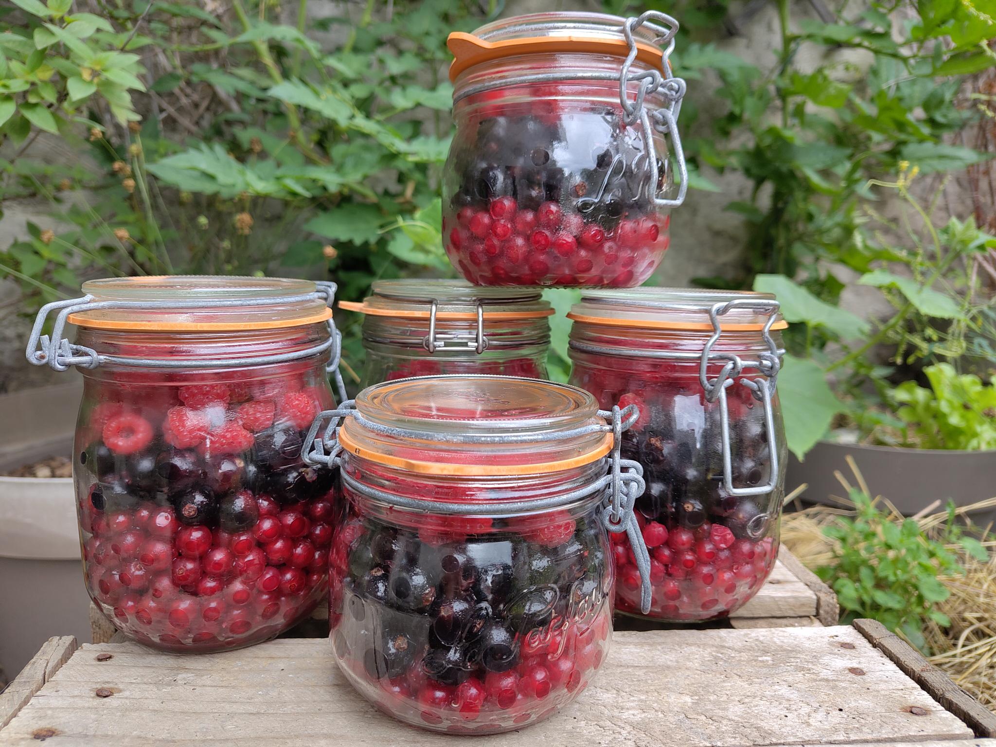 Bocaux-fruits-rouges