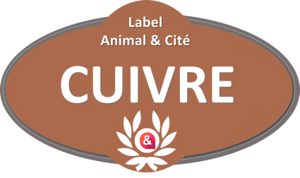 Badge-cuivre