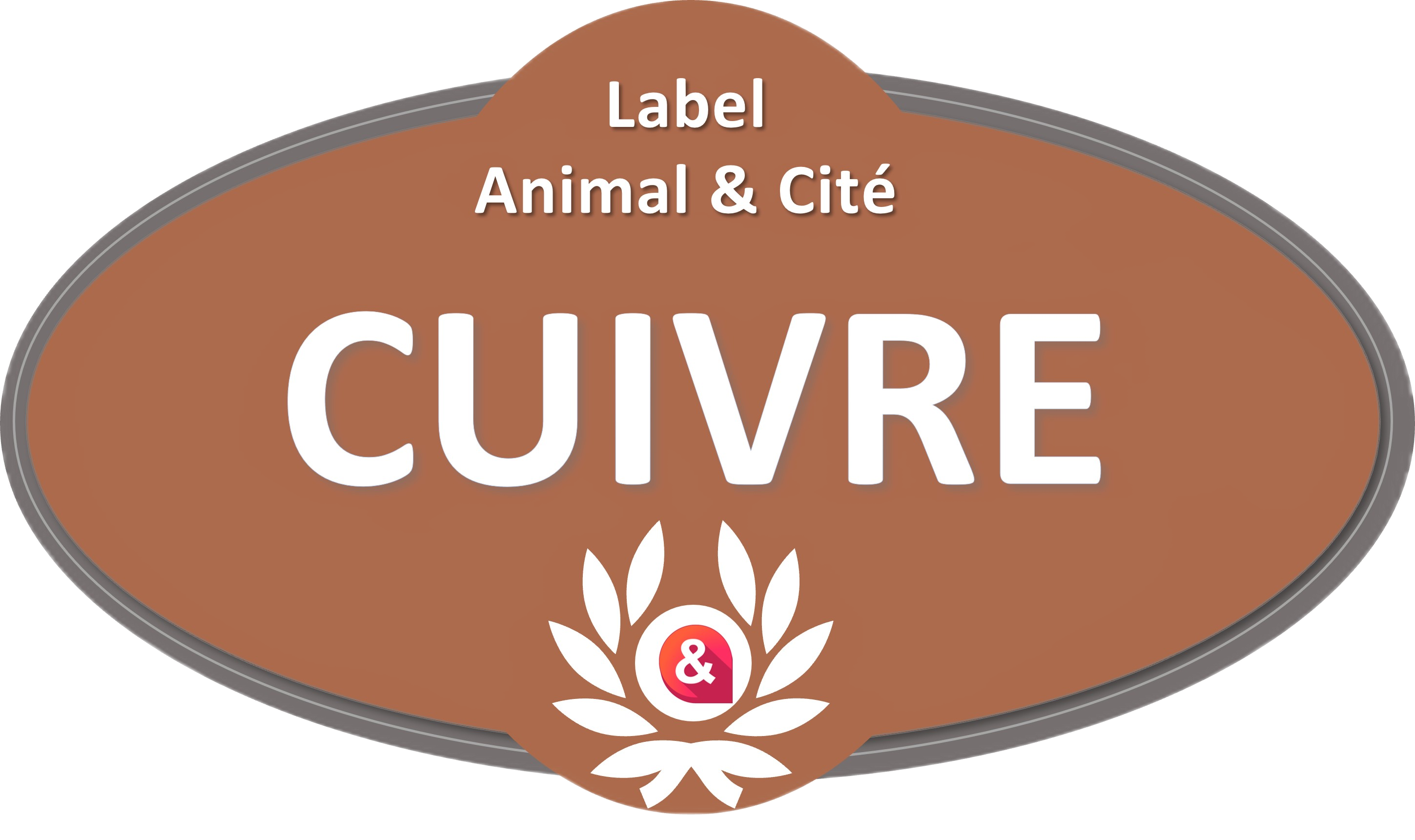 Badge-cuivre