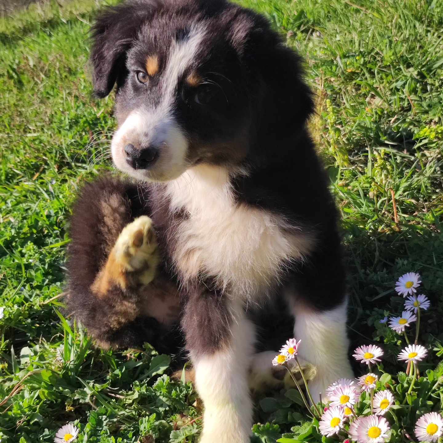 418741848 1203516110618296 3469938182071180304 n