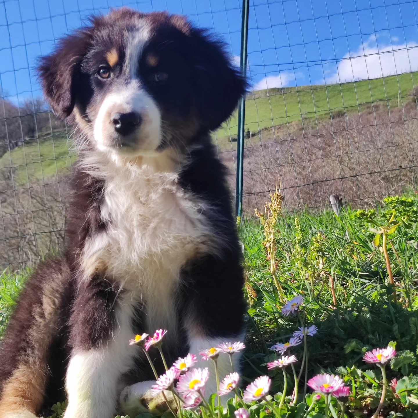 418731839 1580231129446467 2984310582241742721 n