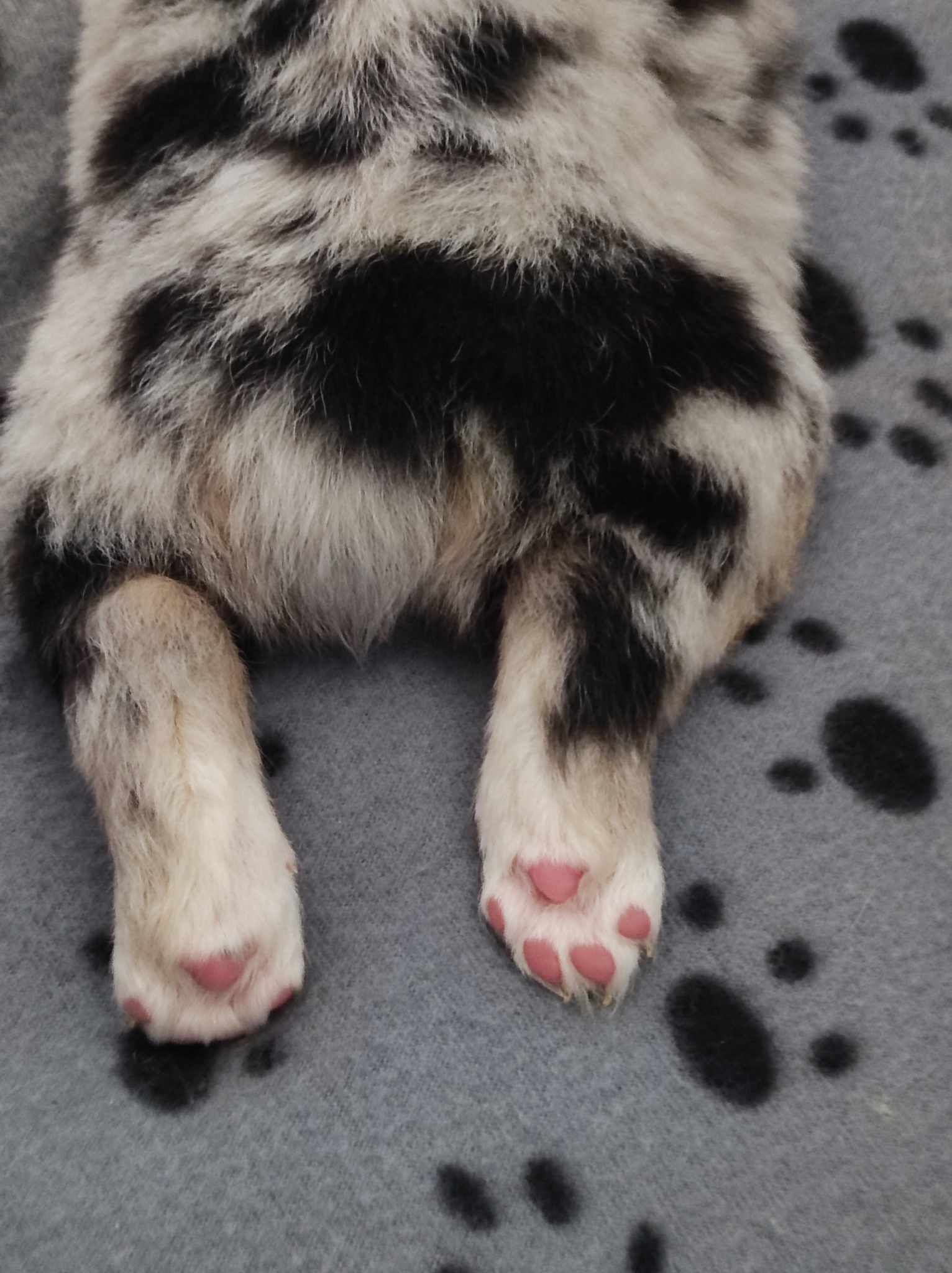 418665245 931913808451027 3355746988784988655 n