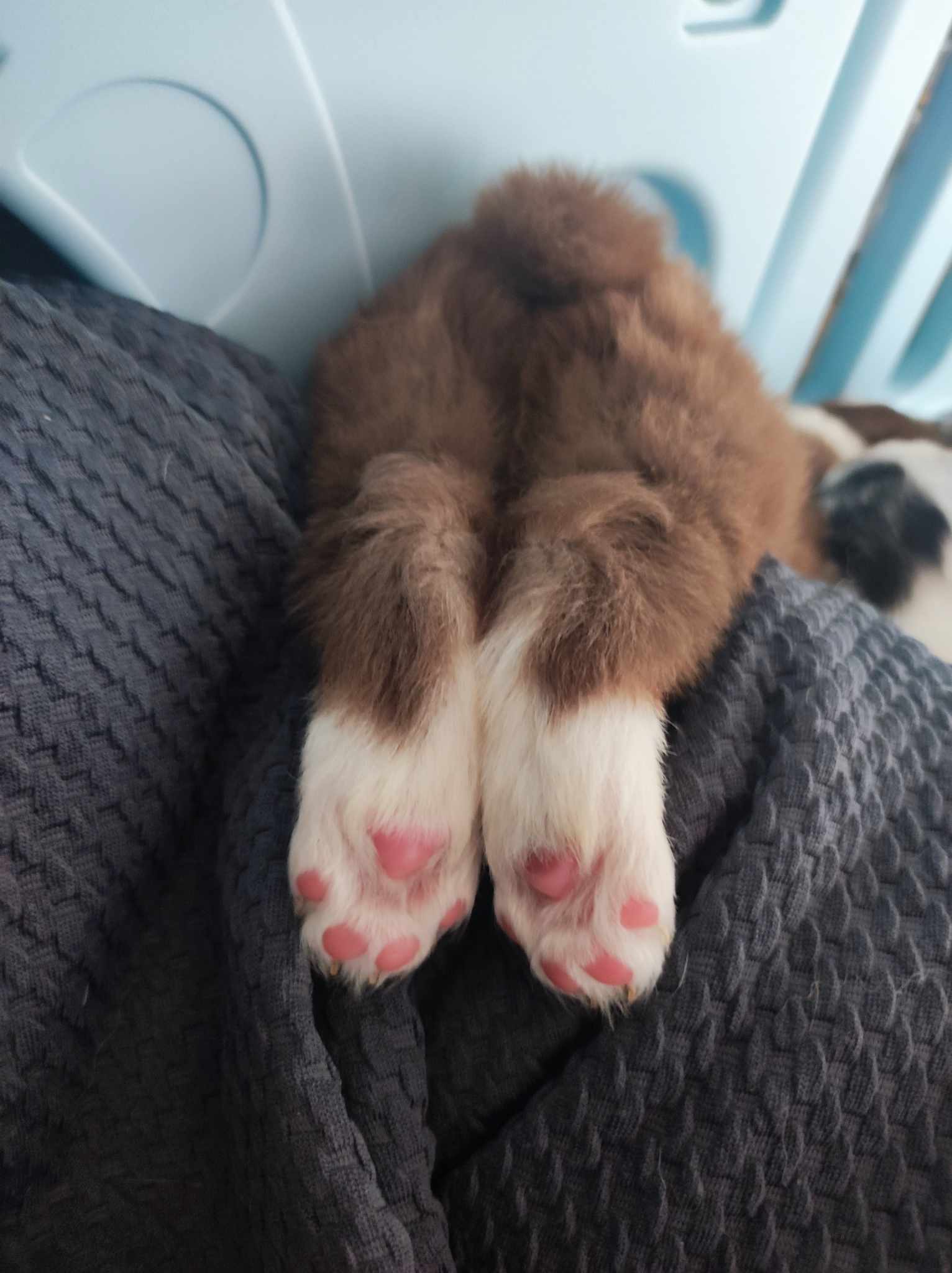 418604485 1591541421610942 2313610271907303366 n