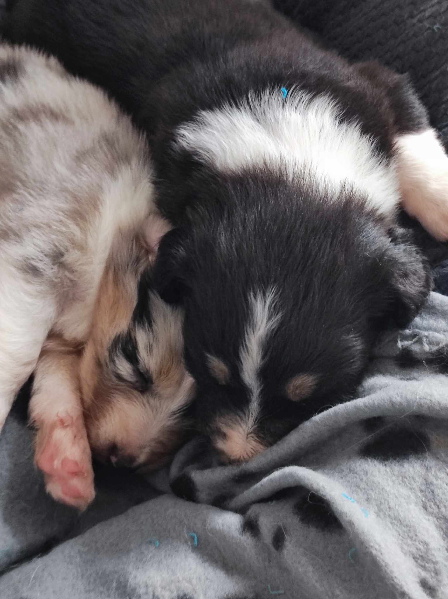 418495146 941775947319092 1155345515828011599 n