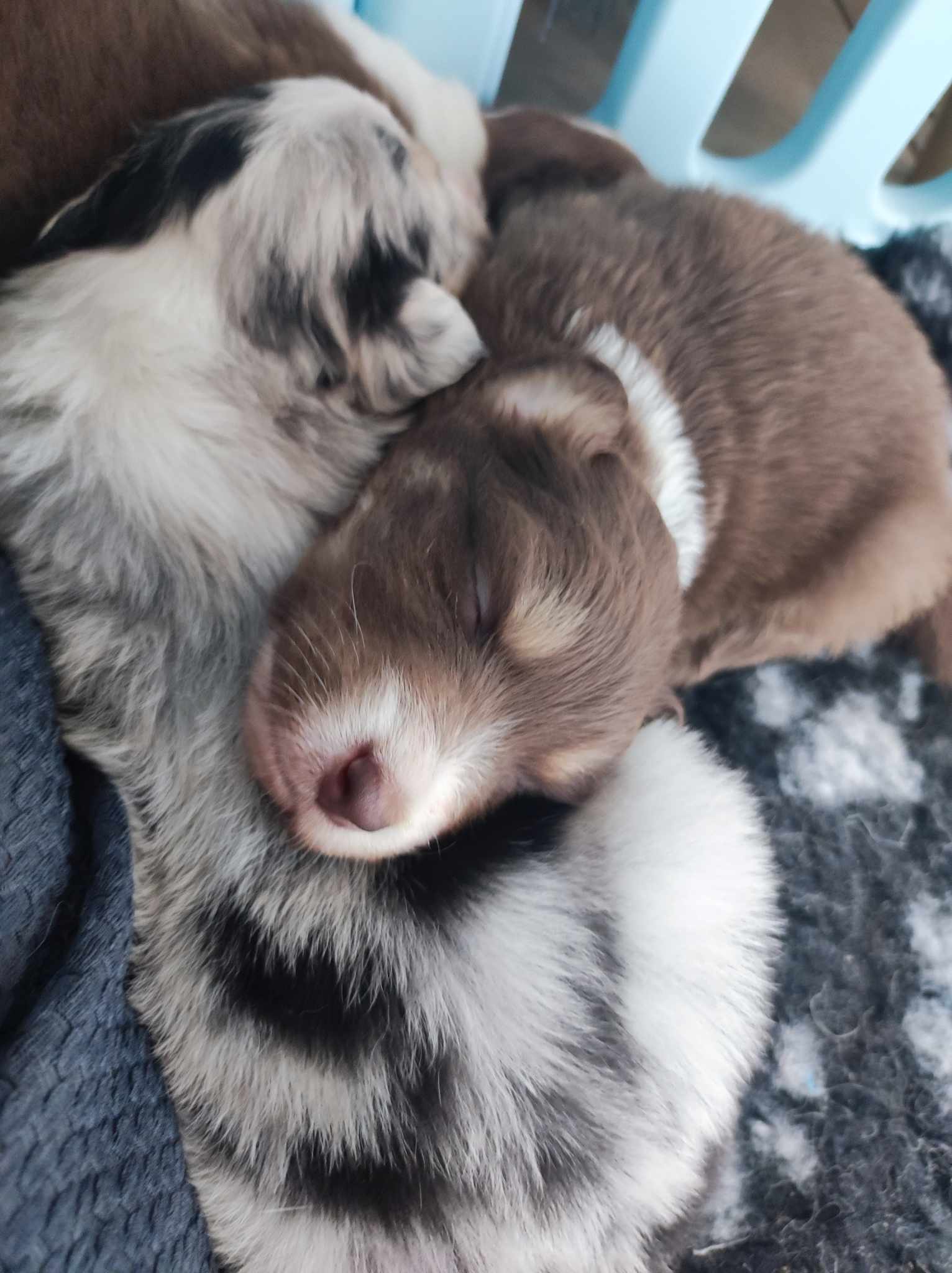 418226945 1103494114122354 3725231197408536364 n