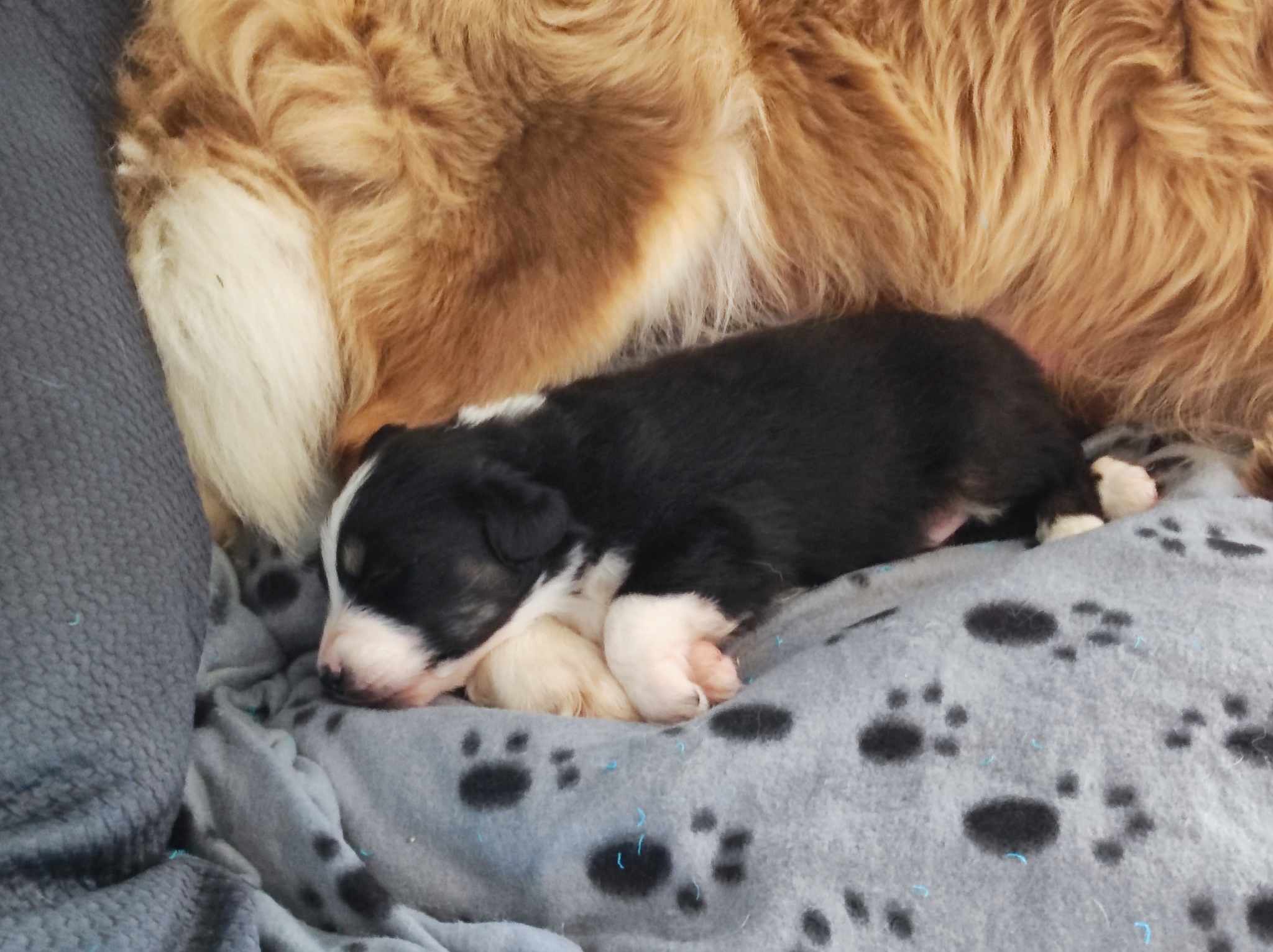 418047807 1441620436705797 7545360797586320210 n