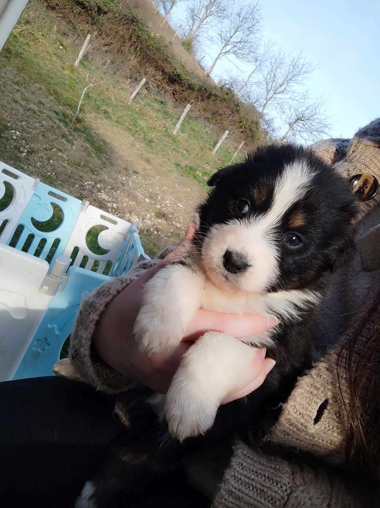 417968983 876234410965725 1308278302380222372 n